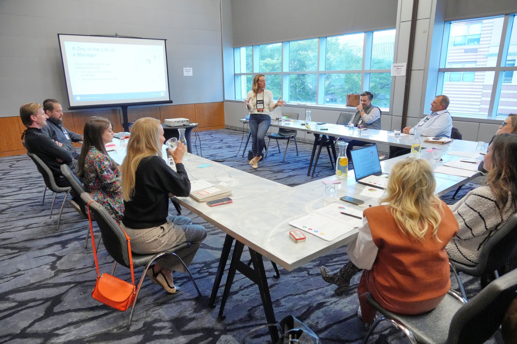 TMSA Exec Summit 24 DiSC